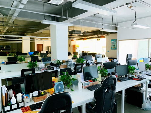 移動互聯網視角下的深海教育 研發與維護如何塑造行業口碑